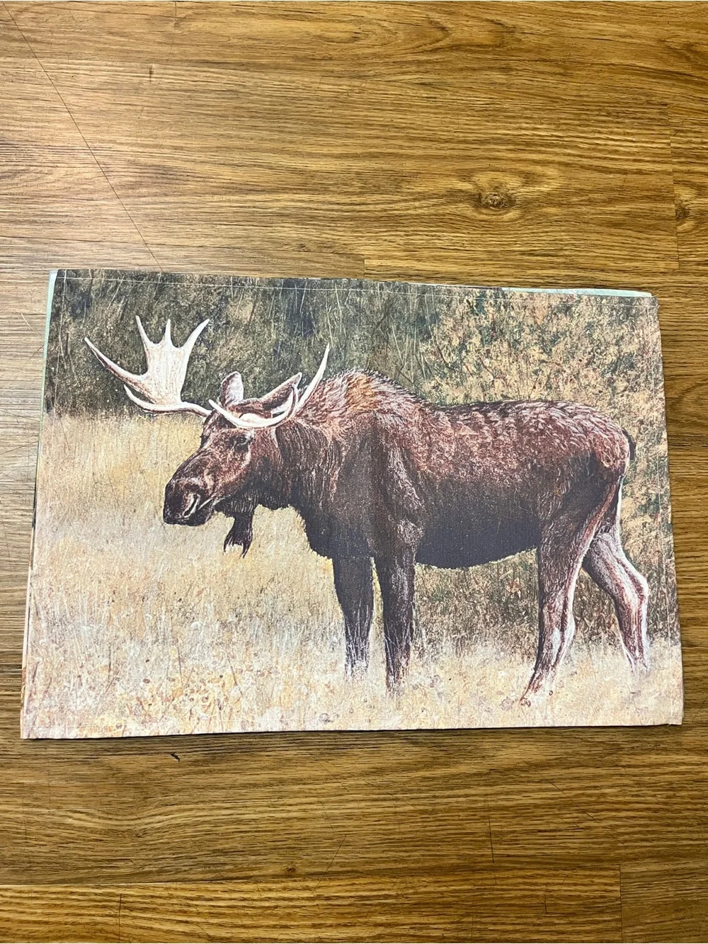 Vintage Set of 4 Handmade Fabric Wildlife Hunting Cabin Placemats Bear Wolf Deer